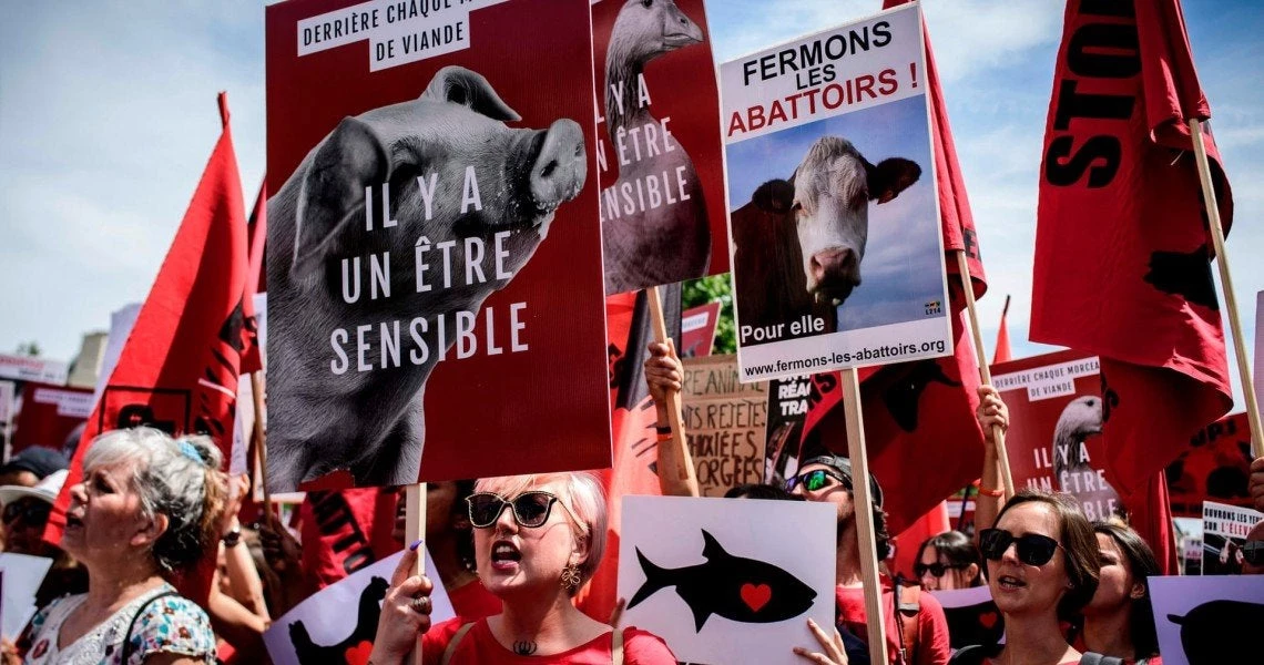 Γαλλία: Κρεοπώλες προσλαμβάνουν σεκιούριτι για να προστατευτούν από τους vegan!